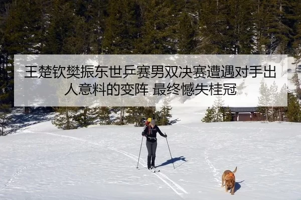 王楚钦樊振东世乒赛男双决赛遭遇对手出人意料的变阵 最终憾失桂冠